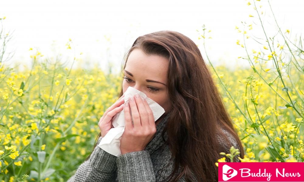 The 5 Best Remedies To Treat Pollen Allergy ebuddynews